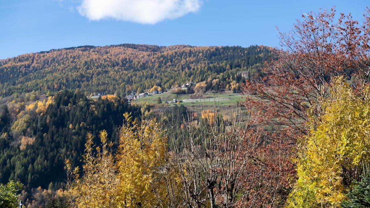 Italianway - Castellazzi 12 Aquila Leilighet Bormio Eksteriør bilde