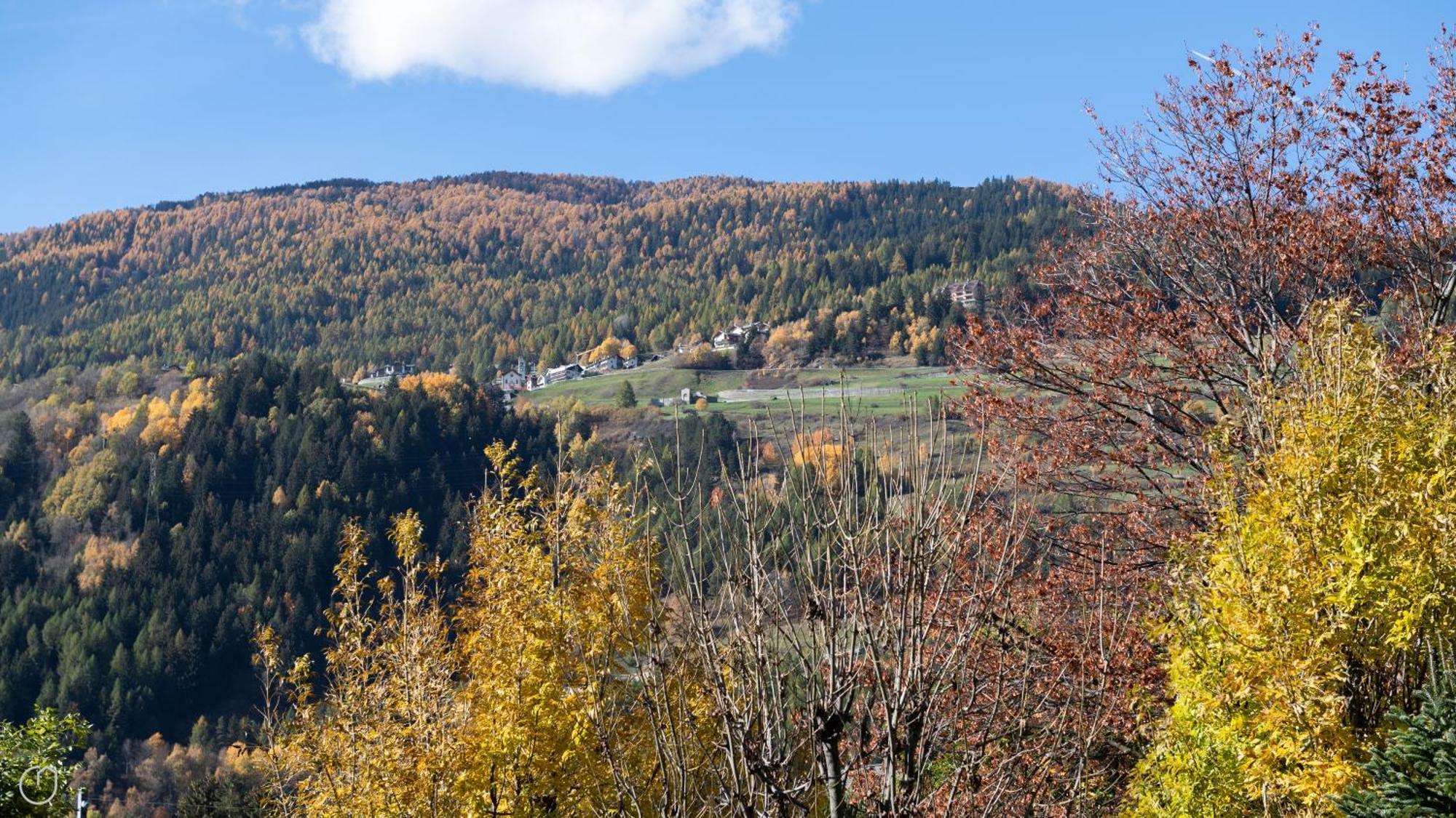 Italianway - Castellazzi 12 Aquila Leilighet Bormio Eksteriør bilde